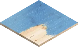 สีบนไม้