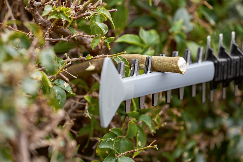 ใบมีดเครื่องตัดแต่งพุ่มไม้กำลังตัดกิ่งไม้หนาๆ ที่มีใบไม้สีเขียวหนาแน่น.