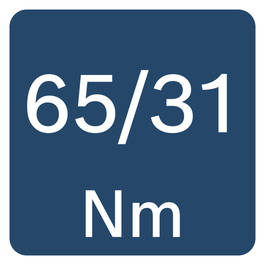 65/31 นิวตันเมตร