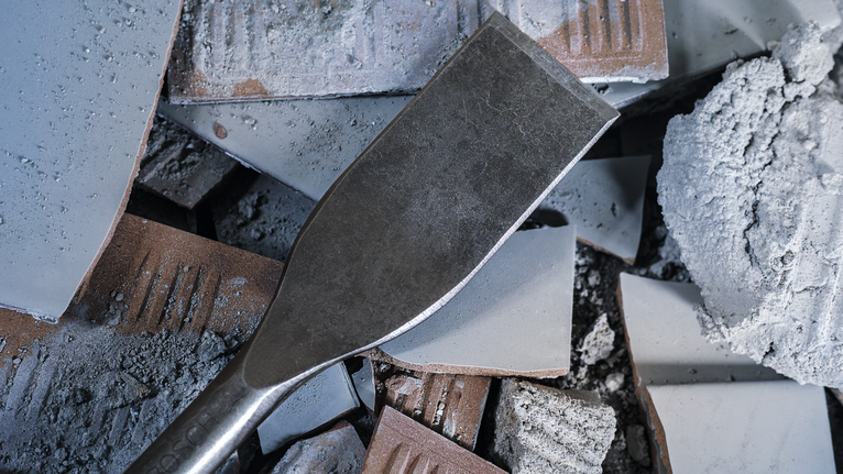 สิ่ววางอยู่บนเศษคอนกรีตและกระเบื้องที่แตกหัก