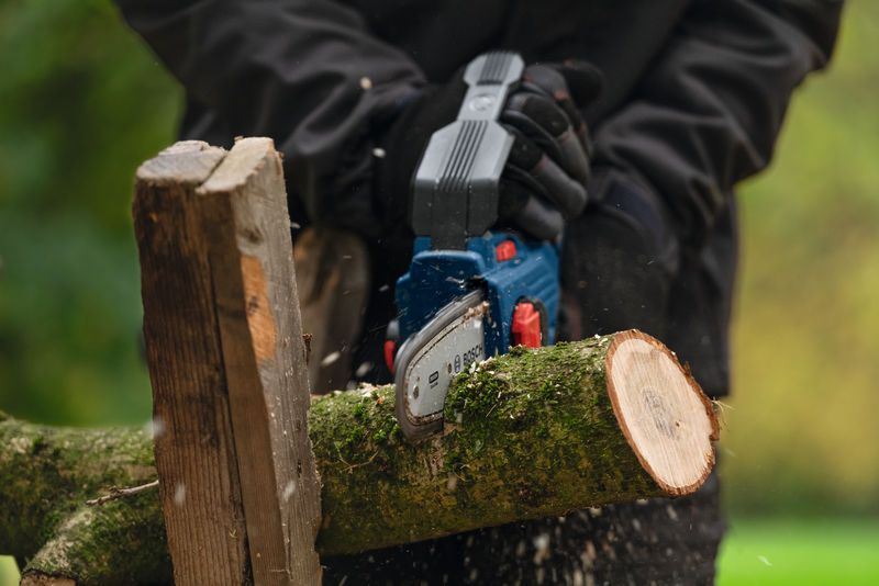 บุคคลที่สวมอุปกรณ์ด้านความปลอดภัยใช้เลื่อยตัดแต่งกิ่งไม้แบบไร้สายตัดกิ่งไม้.